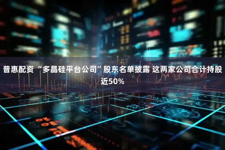 普惠配资 “多晶硅平台公司”股东名单披露 这两家公司合计持股近50%